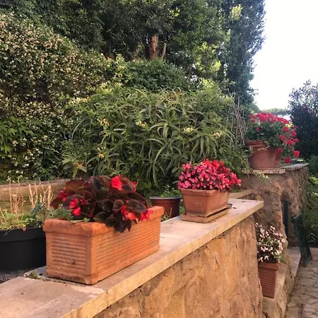 Bellissima Turchese * Anzio